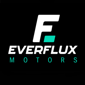 Everflux Motors