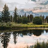 Auto Spot (Jackson Hole)