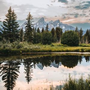 Auto Spot (Jackson Hole)