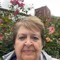 Judy