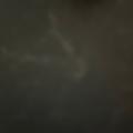 Bree