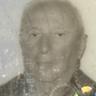 domenico