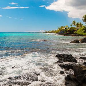 LA Auto Spot (Kona)