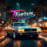 Turtus LLC