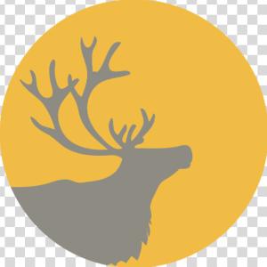 Caribou Auto Rentals