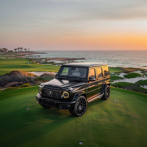 Seaside Luxe Exotics