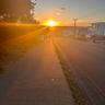 Sunny