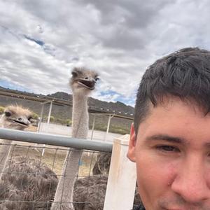 Alejandro