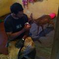 Farid