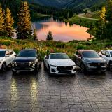 Wolf Premier Drive