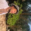 Tomek