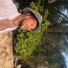 Tomek
