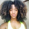 Timia D