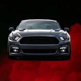 Big City Auto Rentals