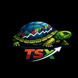 TSX HOLDINGS