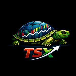 TSX HOLDINGS