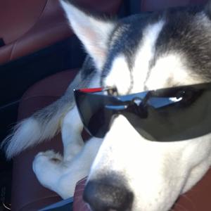 Leon