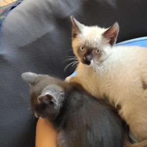 June and Gray