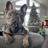 Christopher
