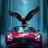 SS Auto Group