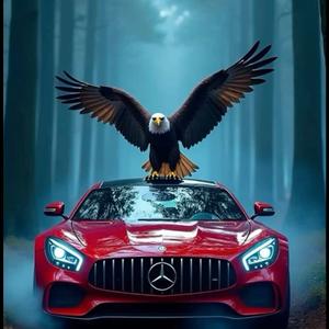 SS Auto Group