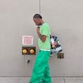 Shamel