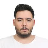KARSIYAKA LLC