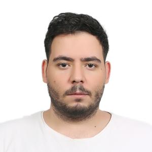 KARSIYAKA LLC