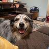 Josie