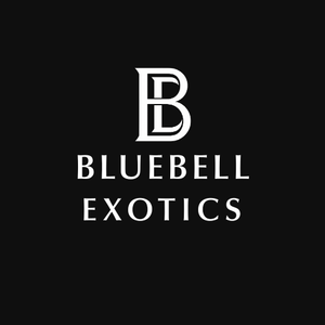 Bluebell Exotics