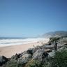Haofei