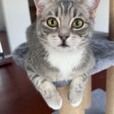 Charlie