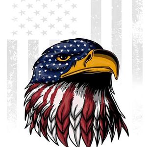 AmericanVet Fleet