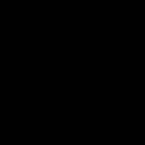 Victor