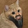 Ethan