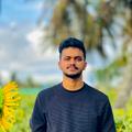 Nibin P.