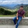 Zaur