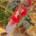 Shakir