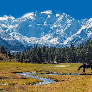 Hunza Auto Rental