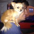 Jack