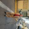 eduardo