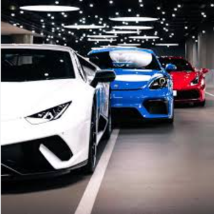 Elegant Rentals