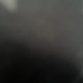 Malik S.