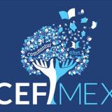 CEFIMEX AUTO LLC