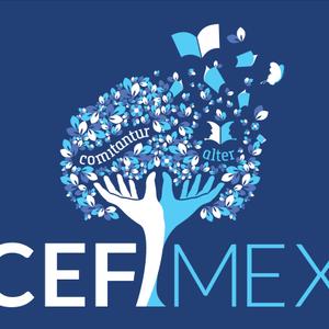 CEFIMEX AUTO LLC