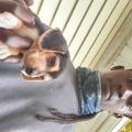 Darin Desmontae
