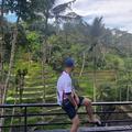 Yanis