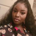 Andrenae