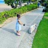 Maui Rides