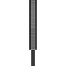 Jay